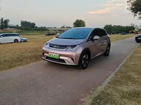 BYD Dolphin, 2024