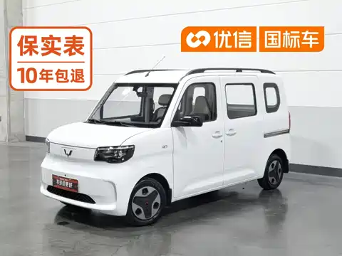 Wuling Motors Wuling Zhiguang NEV, 2025