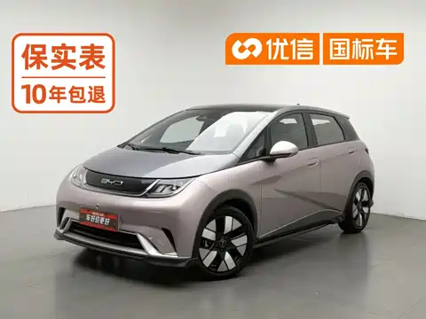 BYD Dolphin, 2024