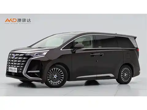 Denza D9, 2024