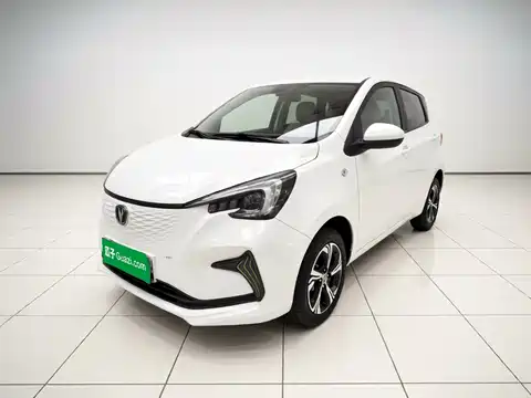 Changan Benben E-Star, 2021