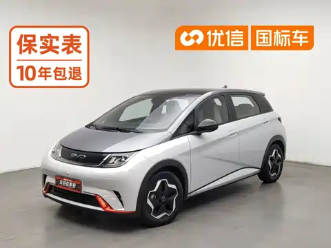 BYD Dolphin, 2022