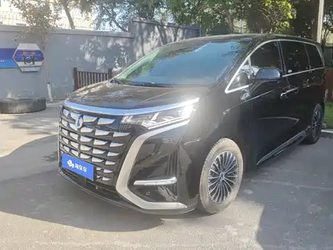 Denza D9, 2025