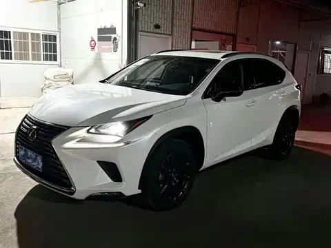 Lexus NX, 2018