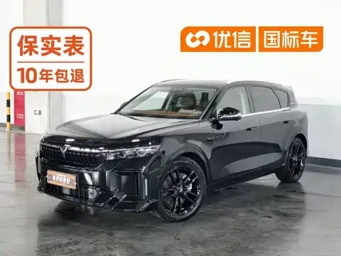 Voyah Auto VOYAH FREE, 2024