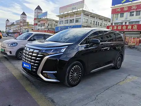 Denza D9, 2024