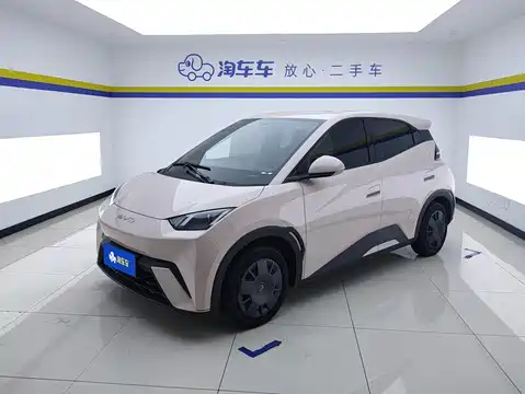 BYD Seagull, 2024
