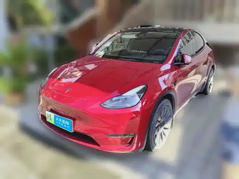 Tesla Model Y, 2021