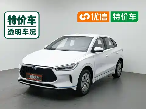 BYD e2, 2020