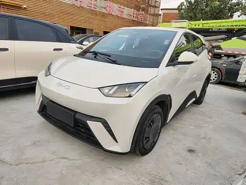 BYD Seagull, 2025