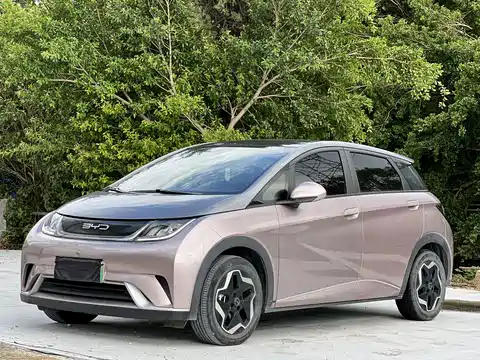 BYD Dolphin, 2023