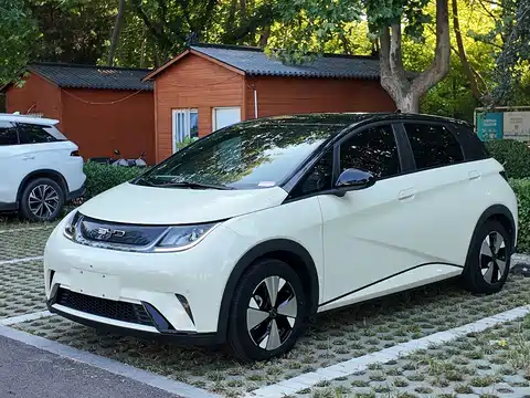 BYD Dolphin, 2023