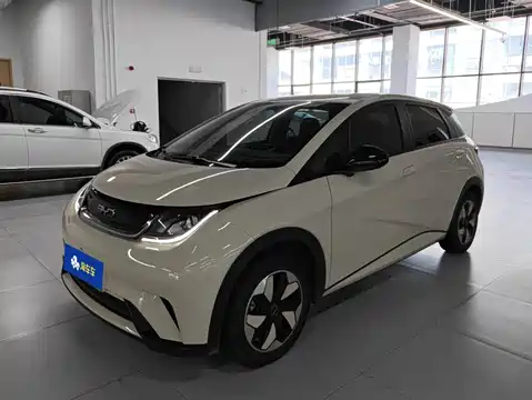 BYD Dolphin, 2024