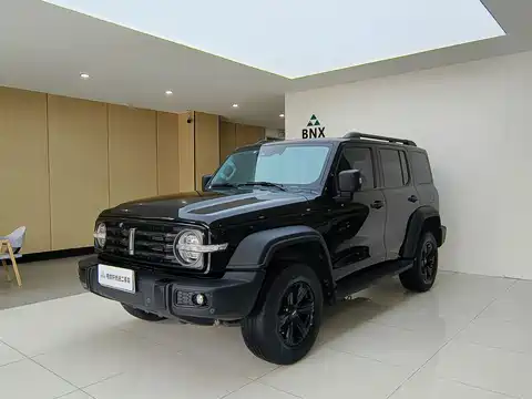 Tank 300, 2021