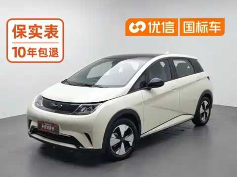 BYD Dolphin, 2023
