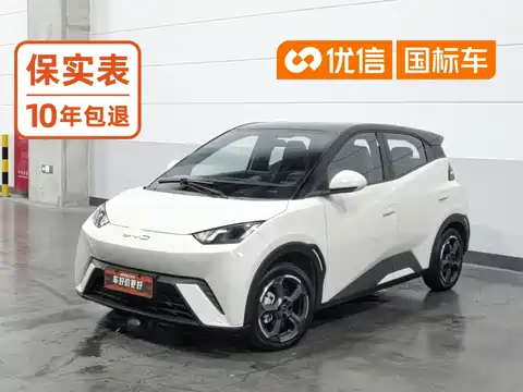 BYD Seagull, 2023