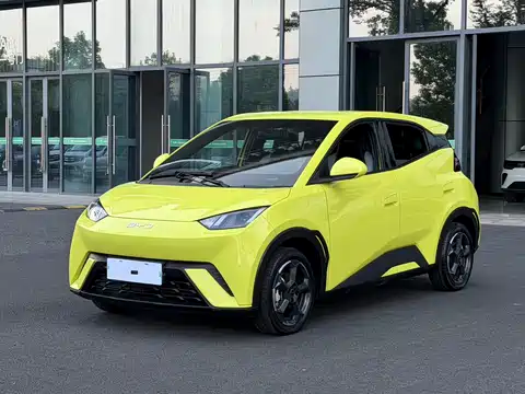 BYD Seagull, 2024