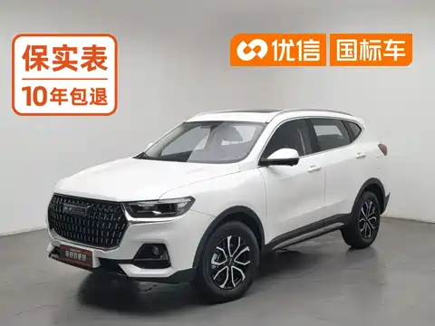 Haval H6, 2023