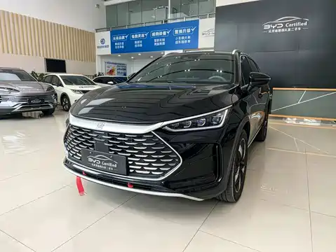 BYD Tang New Energy, 2024