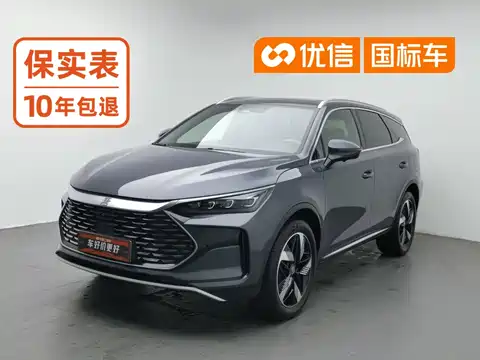 BYD Tang New Energy, 2024