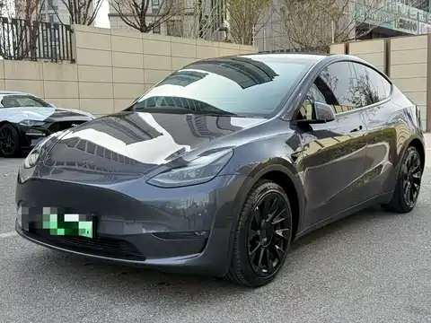 Tesla Model Y, 2021